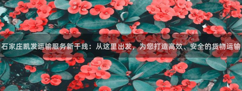 焦点娱乐体育在线注册：石家庄凯发运输服务新干线：从这里出发，为您打造高效、安全的货物运输