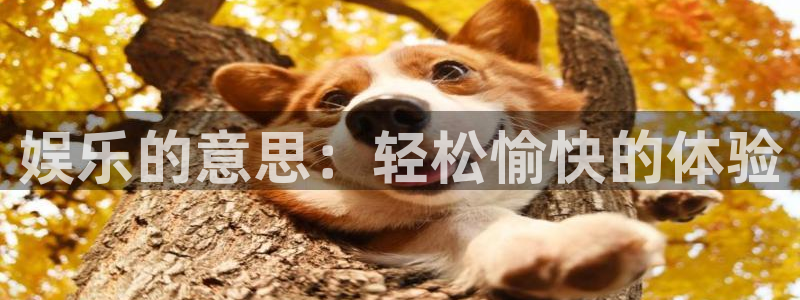 焦点娱乐平台在线注册：娱乐的意思：轻松愉快的体验