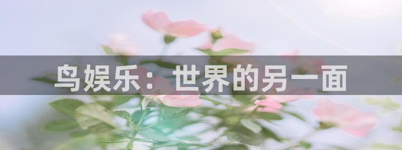 焦点娱乐网站平台登录：鸟娱乐：世界的另一面