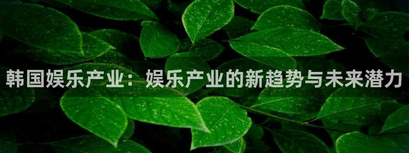 焦点娱乐体育3：韩国娱乐产业：娱乐产业的新趋势与未来潜力