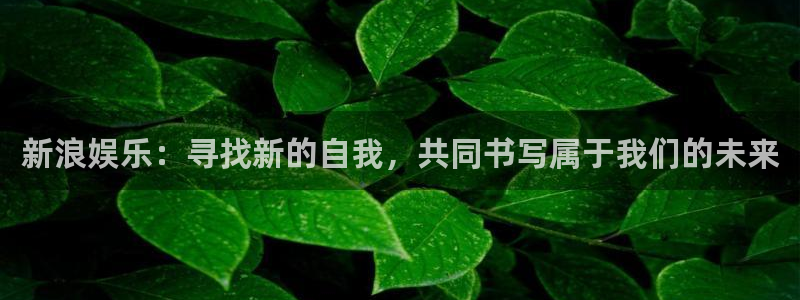 焦点娱乐ccm麻将胡了：新浪娱乐：寻找新的自我，共同书写属于我们的未来