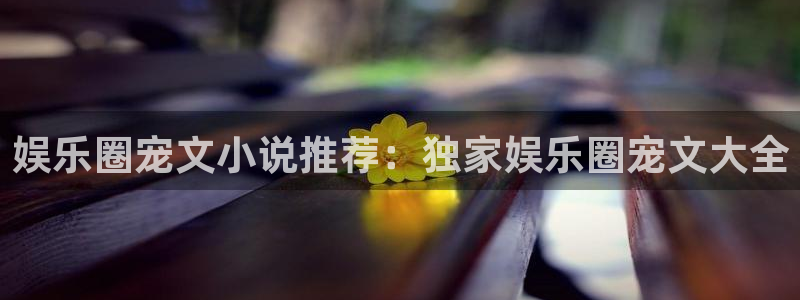 焦点娱乐2登录：娱乐圈宠文小说推荐：独家娱乐圈宠文大全