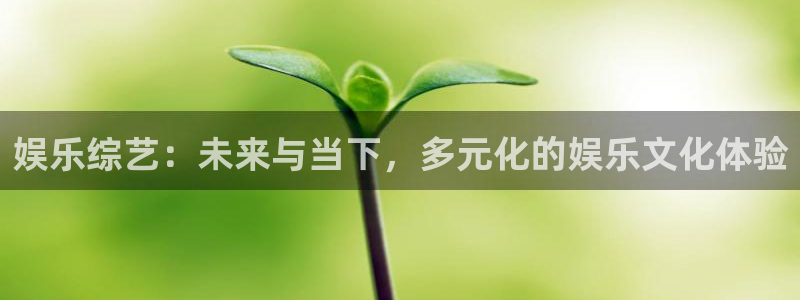 焦点娱乐4登录：娱乐综艺：未来与当下，多元化的娱乐文化体验