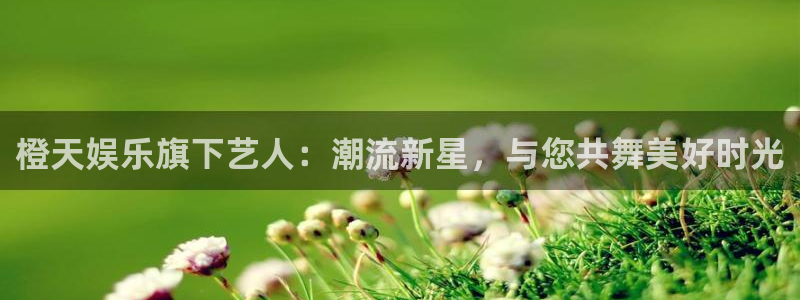 焦点娱乐预测在线预测