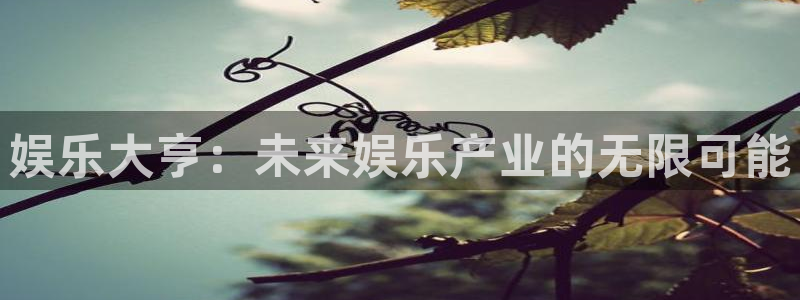 焦点娱乐4：娱乐大亨：未来娱乐产业的无限可能