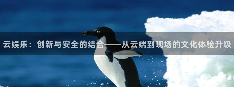 焦点娱乐加拿大官网：云娱乐：创新与安全的结合——从云端到现场的文化体验升级