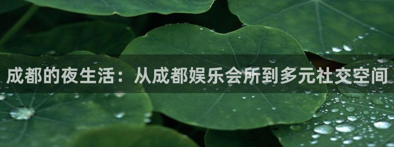 焦点娱乐电子有限公司：成都的夜生活：从成都娱乐会所到多元社交空间