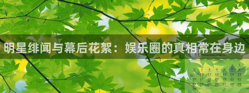 焦点娱乐4官网