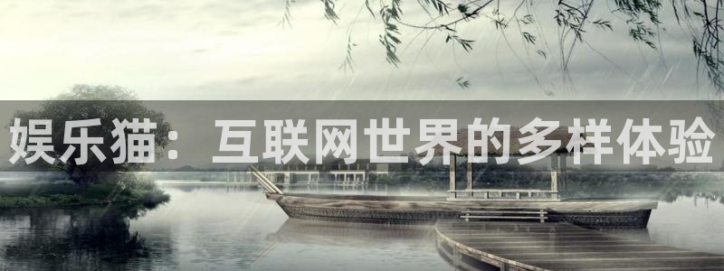 焦点娱乐路线1：娱乐猫：互联网世界的多样体验