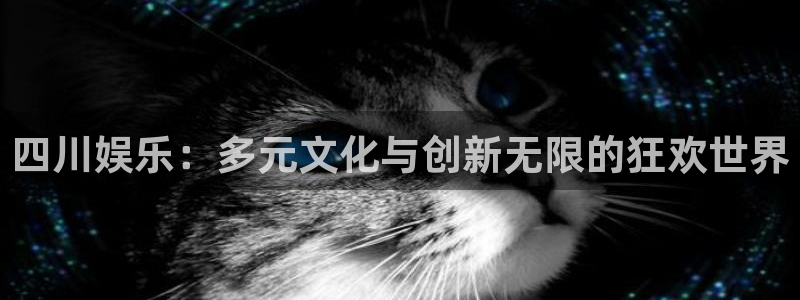 焦点娱乐网站平台：四川娱乐：多元文化与创新无限的狂欢世界