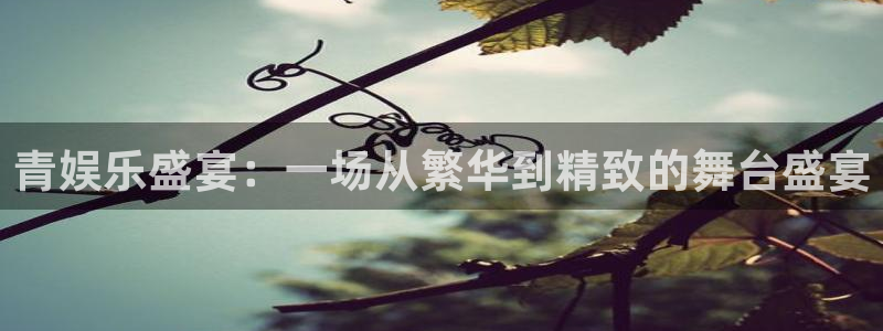 焦点娱乐体育游戏：青娱乐盛宴：一场从繁华到精致的舞台盛宴