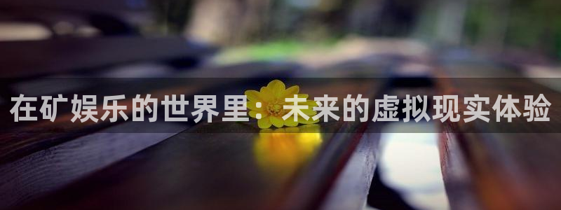 焦点娱乐官网版：在矿娱乐的世界里：未来的虚拟现实体验