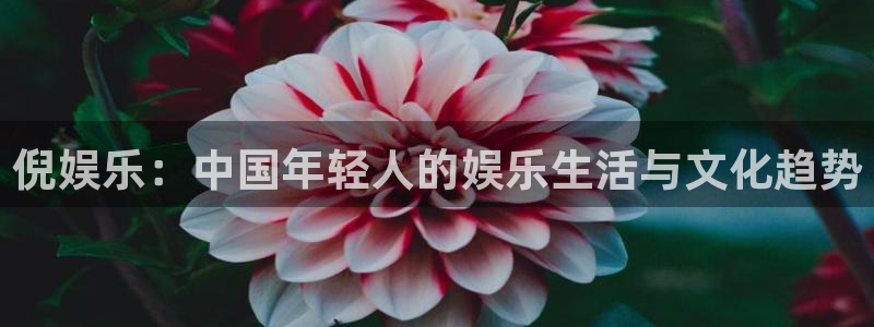 焦点娱乐加拿大app预测：倪娱乐：中国年轻人的娱乐生活与文化趋势