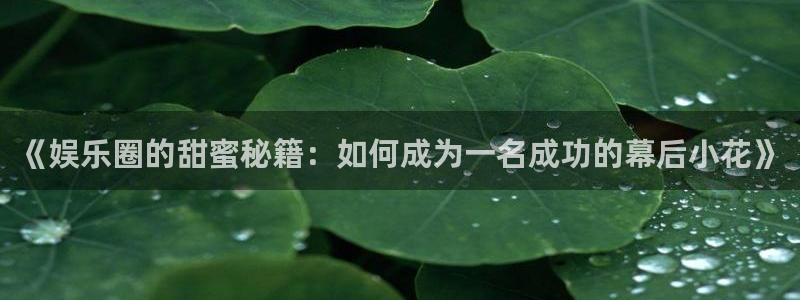 焦点娱乐app新版上线体验.游戏更新入口.中国：《娱乐圈的甜蜜秘籍：如何成为一名成功的幕后小花》