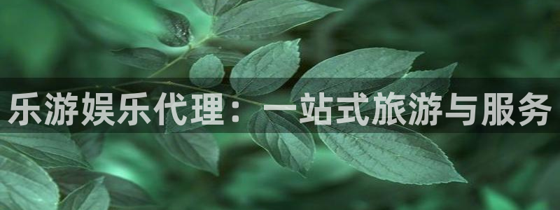 焦点娱乐4：乐游娱乐代理：一站式旅游与服务