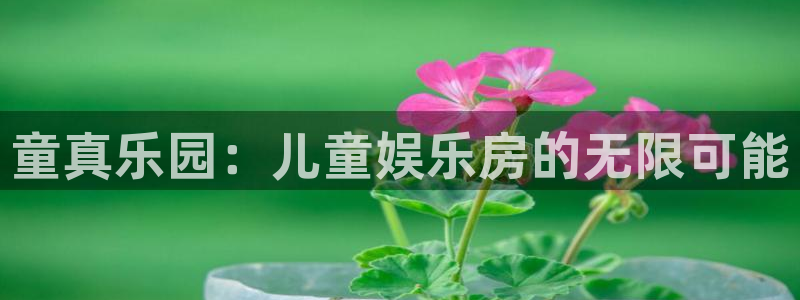 焦点娱乐体育凯捷代理注册：童真乐园：儿童娱乐房的无限可能