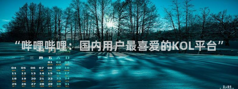 焦点娱乐f平台注册：“哔哩哔哩：国内用户最喜爱的KOL平台”