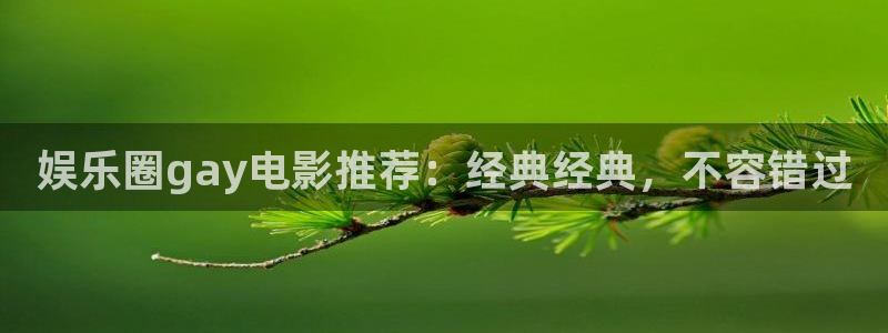 www.焦点娱乐体育.com：娱乐圈gay电影推荐：经典经典，不容错过