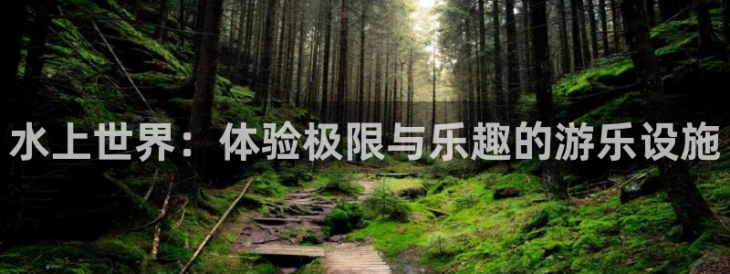 焦点娱乐游戏官网平台：水上世界：体验极限与乐趣的游乐设施