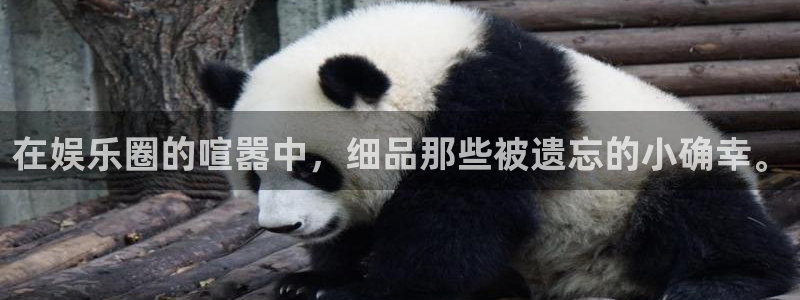 焦点娱乐官网下载：在娱乐圈的喧嚣中，细品那些被遗忘的小确幸。