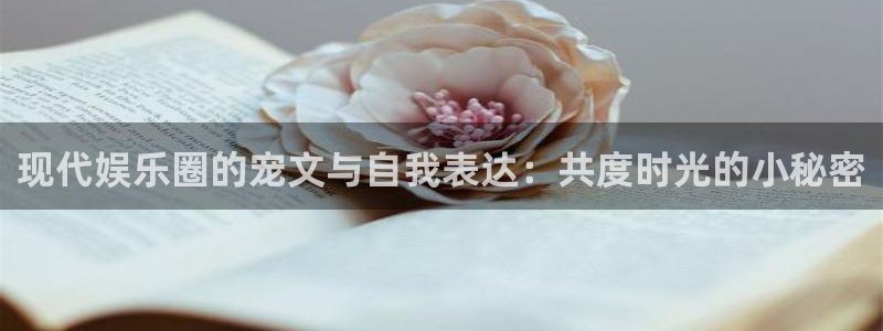 焦点娱乐游戏有哪些好玩的：现代娱乐圈的宠文与自我表达：共度时光的小秘密