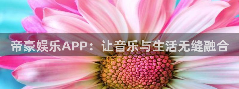 焦点娱乐游戏官网入口：帝豪娱乐APP：让音乐与生活无缝融合