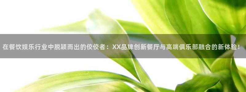 焦点娱乐注册入口：在餐饮娱乐行业中脱颖而出的佼佼者：XX品牌创新餐厅与高端俱乐部融合的新体验！