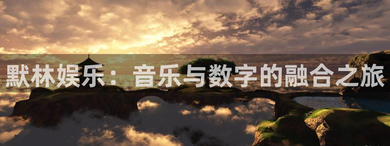 焦点娱乐平台主管：默林娱乐：音乐与数字的融合之旅