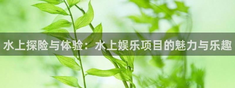焦点娱乐2平台登录：水上探险与体验：水上娱乐项目的魅力与乐趣