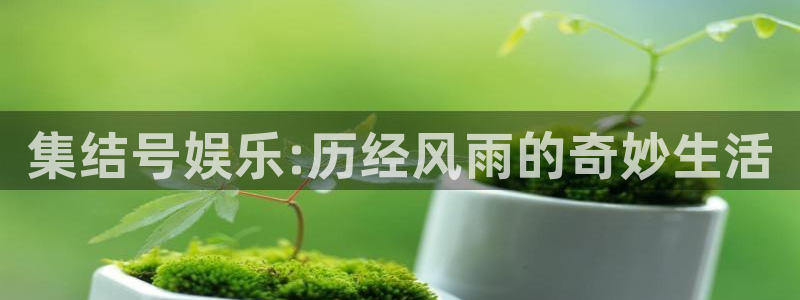 焦点娱乐4：集结号娱乐:历经风雨的奇妙生活