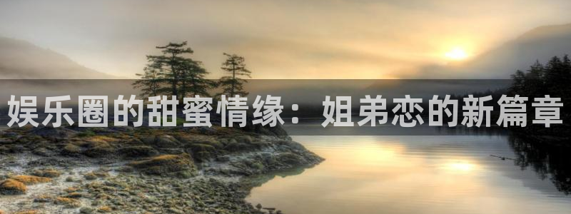 焦点娱乐电子游戏：娱乐圈的甜蜜情缘：姐弟恋的新篇章