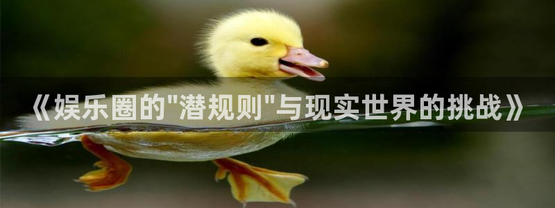 焦点娱乐体育2官网入口：《娱乐圈的\