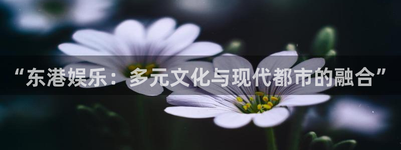 焦点娱乐2平台注册：“东港娱乐：多元文化与现代都市的融合”