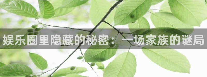 焦点娱乐2体育：娱乐圈里隐藏的秘密：一场家族的谜局