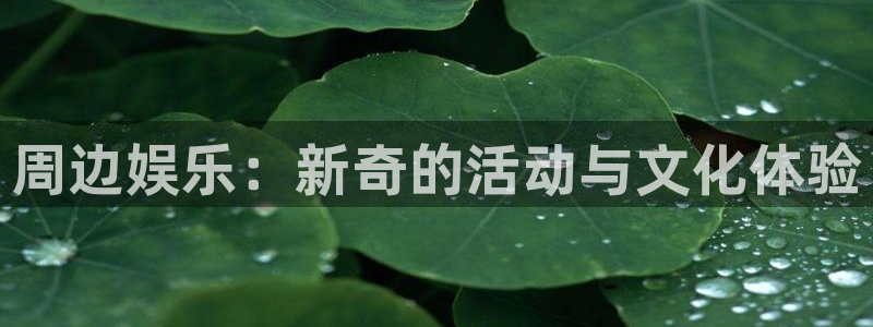 焦点娱乐注册链接入口：周边娱乐：新奇的活动与文化体验