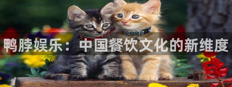 焦点娱乐pg电子游戏在线玩：鸭脖娱乐：中国餐饮文化的新维度