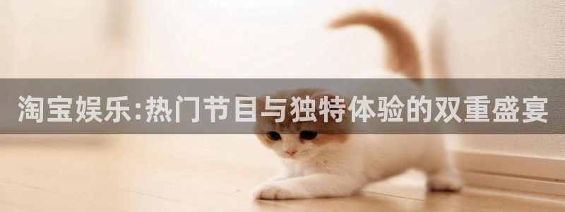 焦点娱乐4平台：淘宝娱乐:热门节目与独特体验的双重盛宴
