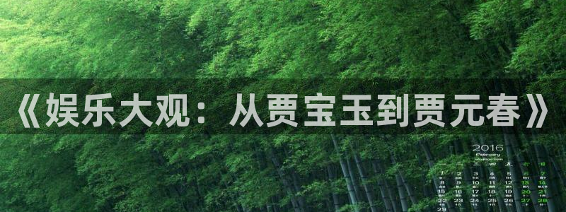 东莞市焦点娱乐电子科技有限公司：《娱乐大观：从贾宝玉到贾元春》