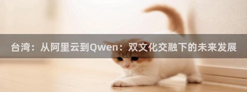 焦点娱乐体育在线注册：台湾：从阿里云到Qwen：双文化交融下的未来发展
